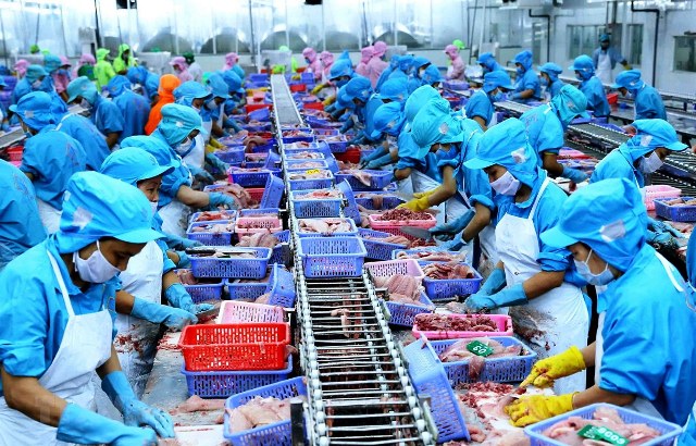 Hàng Việt thích ứng ‘tiêu chuẩn xanh’ của thị trường EU