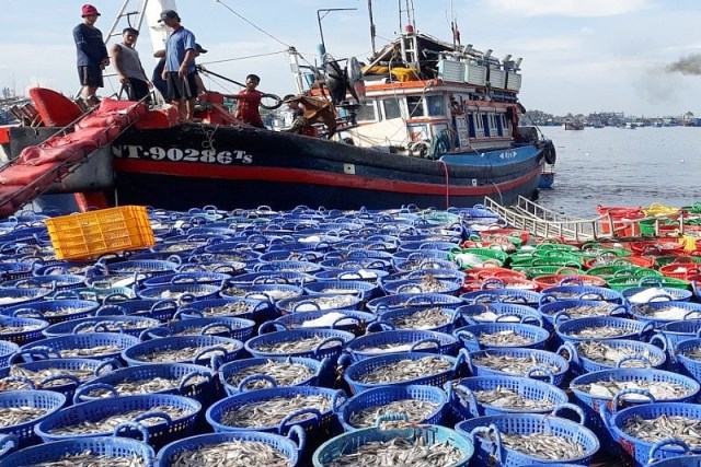 Xuất khẩu hải sản sang EU tụt giảm mạnh do “thẻ vàng” IUU