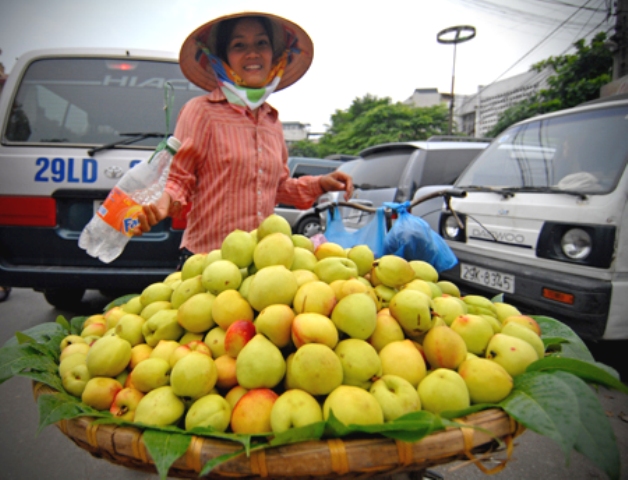 Người Việt chi gần 2 triệu USD mua rau quả Trung Quốc, Thái Lan mỗi ngày