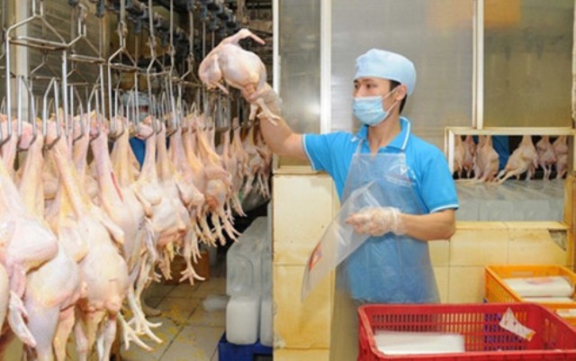 Năm 2017 Việt Nam sẽ xuất khẩu thịt gà sang Nhật Bản, EU