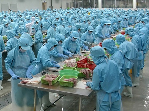 Ba vấn đề các doanh nghiệp cá da trơn của Việt Nam cần quan tâm khi xuất khẩu sang thị trường Mỹ