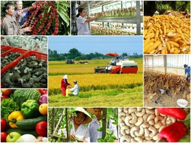 Nông nghiệp xuất siêu 2,58 tỷ USD trong 4 tháng đầu năm