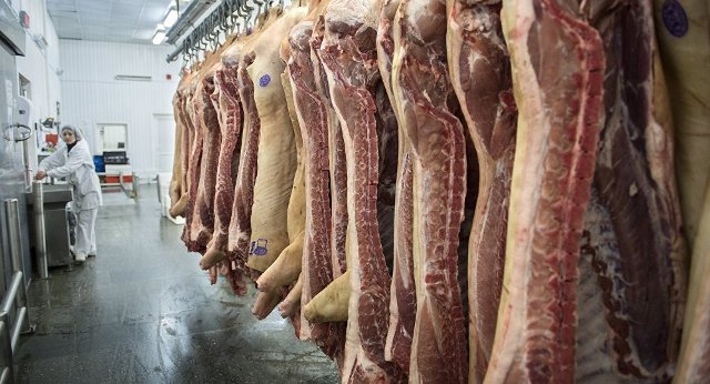 Tập đoàn nông nghiệp lớn nhất Nga sẽ xuất khẩu thịt lợn sang Việt Nam