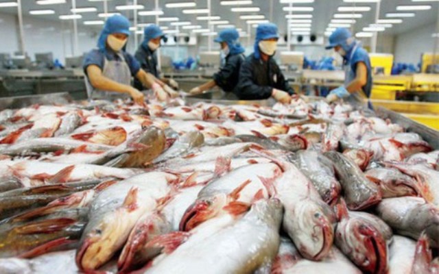 Xuất khẩu cá tra sang Malaysia tăng hơn 23%