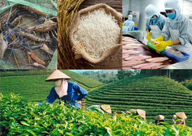 Xuất khẩu nông sản sang Trung Quốc: Cần đầu tư tốt hơn cho chất lượng sản phẩm