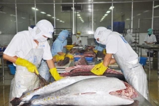 Xuất khẩu tôm, cá ngừ bắt đầu tăng trở lại