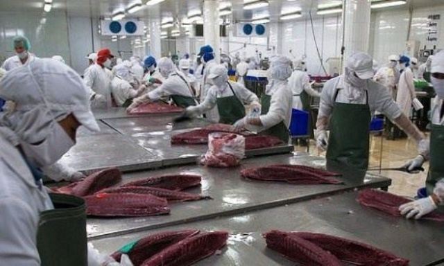 Xuất khẩu cá ngừ sang Nga tăng 218%