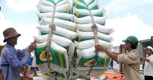 Thúc đẩy xuất khẩu gạo sang Bờ Biển Ngà