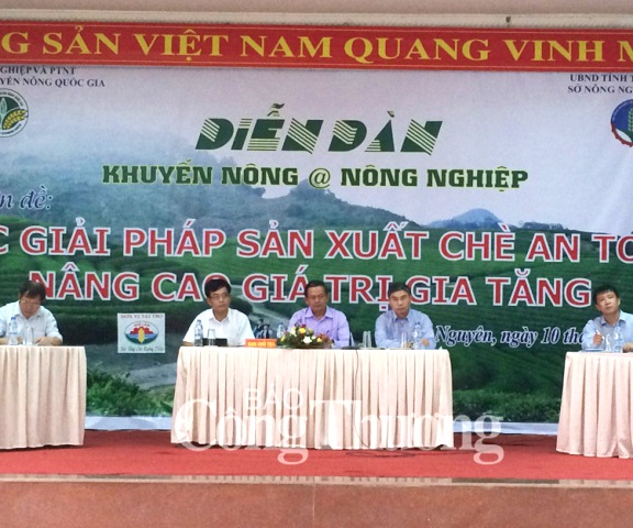 Sản xuất VietGAP: Nâng cao giá trị chè Việt