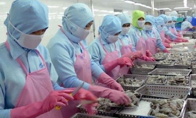 EU sẽ thanh tra an toàn thực phẩm thủy sản Việt Nam trong tháng 6