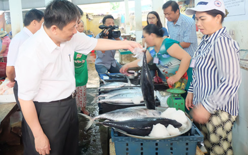 Đà Nẵng đồng loạt triển khai các điểm bán cá sạch