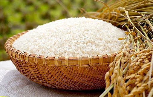 Thị trường giao dịch chậm, giá lúa gạo đi ngang