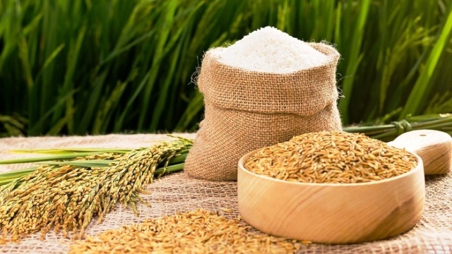 Giá lúa gạo hôm nay 5/2 và tổng kết tuần qua: Giá lúa gạo liên tục tăng