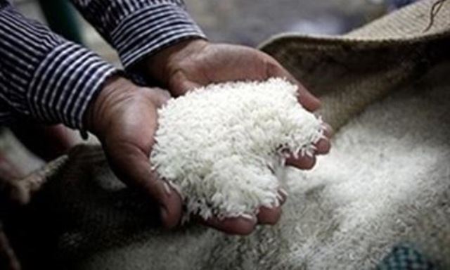 Giá gạo Việt Nam xuất khẩu lao dốc