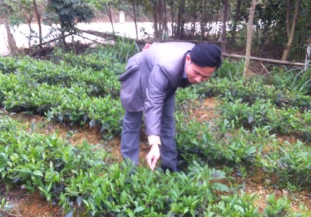 Nguyễn Hữu Huỳnh - Triệu phú trẻ với nghề trồng chè