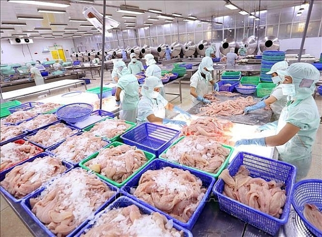 Hải sản giảm giá tới 50%, Hà Nội mong dân ‘giải cứu’ cá hồi, hàu