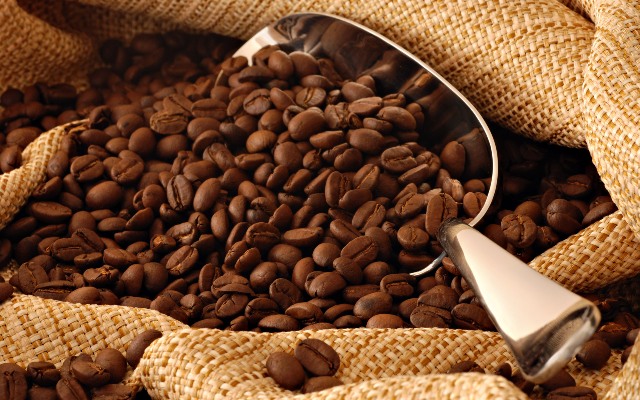 Giá cà phê trong nước tăng 600 nghìn đồng/tấn ngày 6/10
