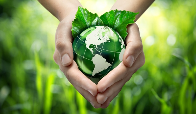 Tiêu dùng xanh: Giải pháp hiệu quả bảo vệ môi trường và sức khỏe cộng đồng, hướng đến phát triển bền vững
