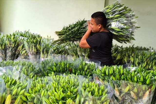 Hà Nội tổ chức 78 điểm chợ hoa xuân đảm bảo an toàn, vui tươi, tiết kiệm