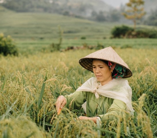 Khoảnh khắc đời thường ở Việt Nam qua ống kính nhiếp ảnh gia Bỉ