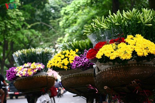Tháng tư, hoa loa kèn về trên phố
