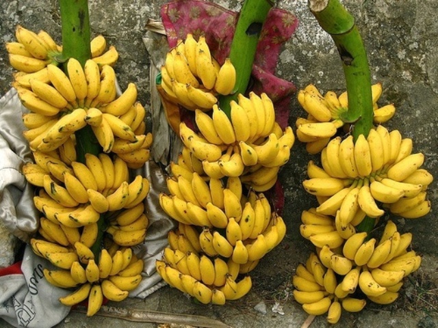 7 loại trái cây gia đình Việt CẤM KỴ đặt lên bàn thờ ngày TẾT nếu không muốn tài lộc kiệt quệ